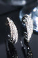 [Argento]