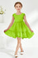 [Verde Lime]