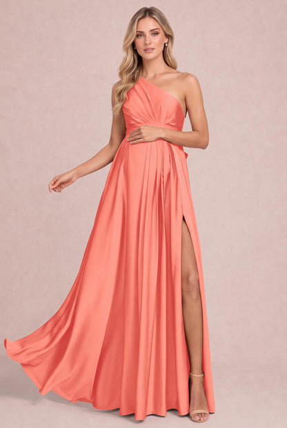 [Rosa salmone]