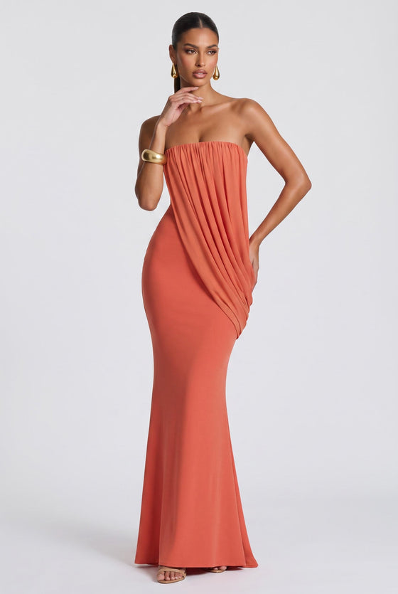 [Rosa salmone]