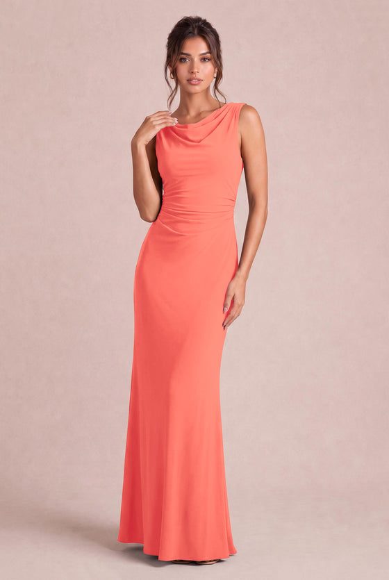 [Rosa salmone]
