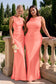 [Rosa salmone]