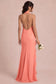 [Rosa salmone]