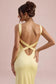[Sorbetto al limone]