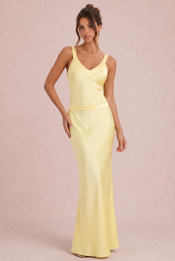 [Sorbetto al limone]