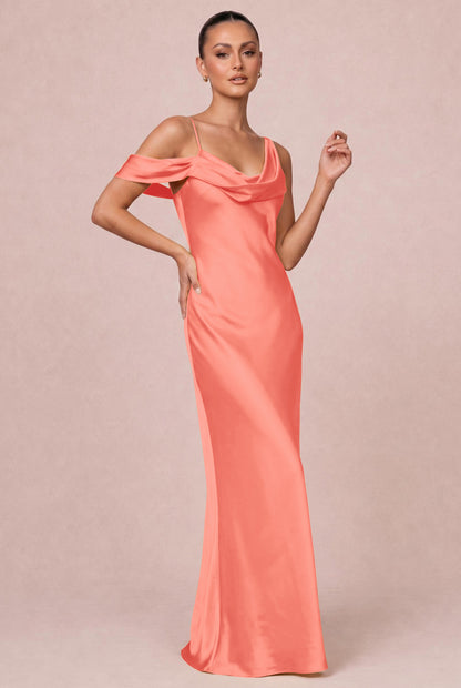 [Rosa salmone]