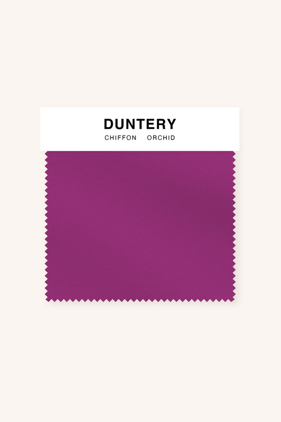 [Orchidea]