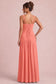 [Rosa salmone]