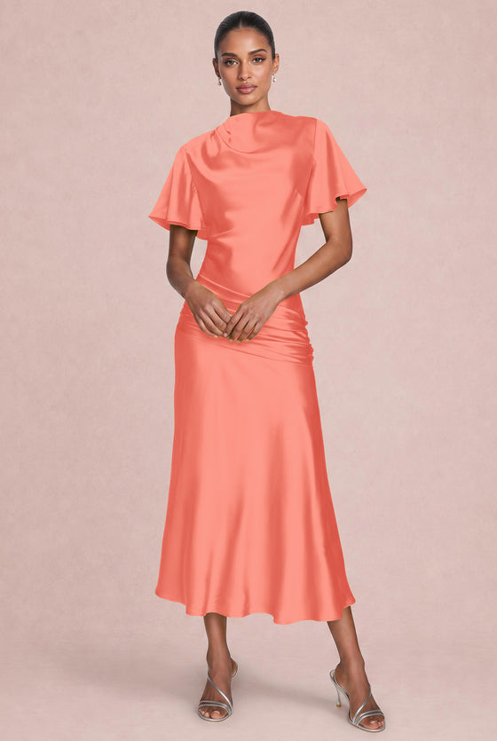 [Rosa salmone]