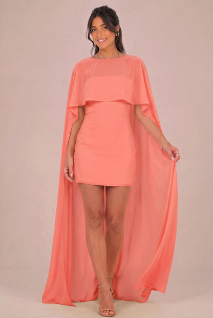 [Rosa salmone]